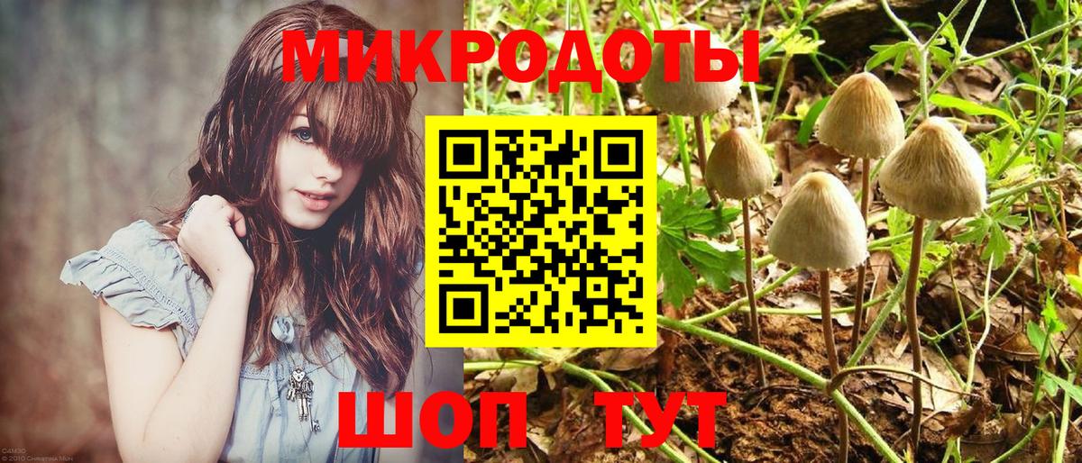 Псилоцибиновые грибы Psilocybine cubensis  Вход с VPN  даркнет сайт  Елизово 